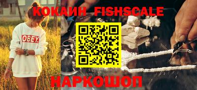 мдпв Камышлов