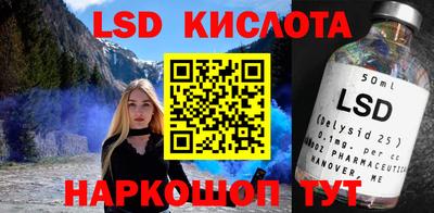 мдпв Камышлов