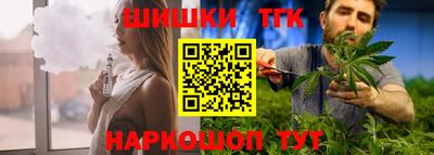 мдпв Камышлов