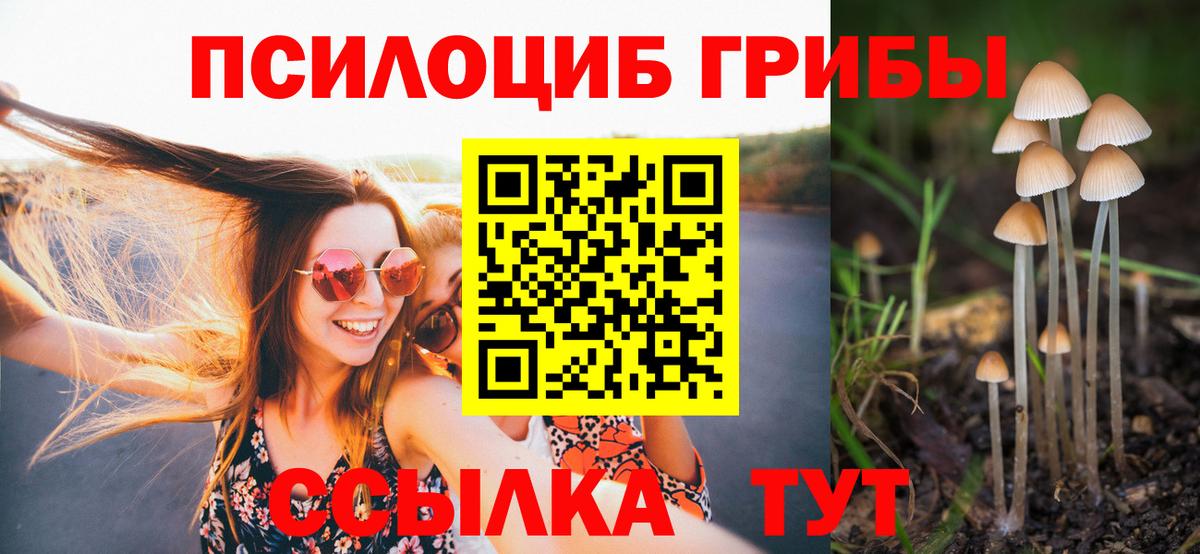 Галлюциногенные грибы Psilocybe  Псилоцибиновые грибы мицелий  Вход с VPN  Южно-Сахалинск 