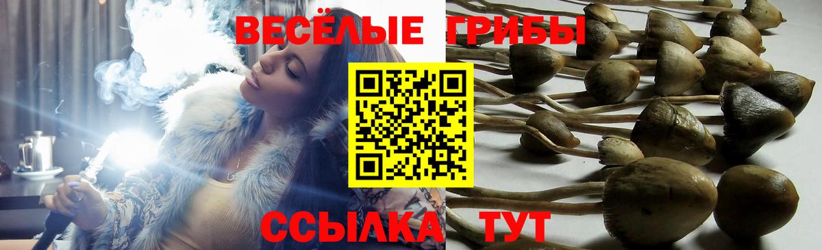 Псилоцибиновые грибы MAGIC MUSHROOMS Южно-Сахалинск